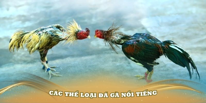 Các thể loại đá gà nổi tiếng nhất tại nhà cái 789Bet