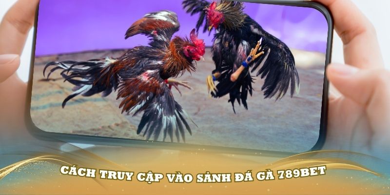Các bước cơ bản để truy cập vào sảnh đá gà 789Bet