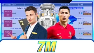 7M